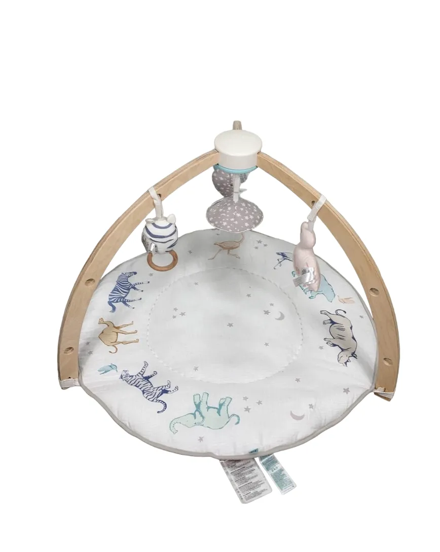 Aden   Anais Play   Discover Baby Activity Gym, Rising Star
