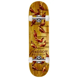 Anti-Hero B.A. Dawn Of The Pigeon Skateboard Complete - 8.80"