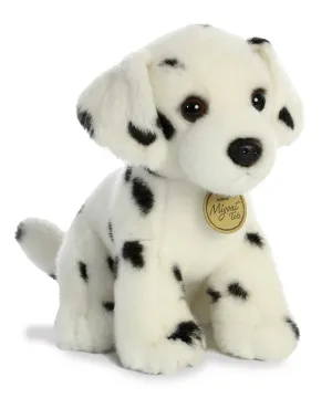 Dalmatian Pup