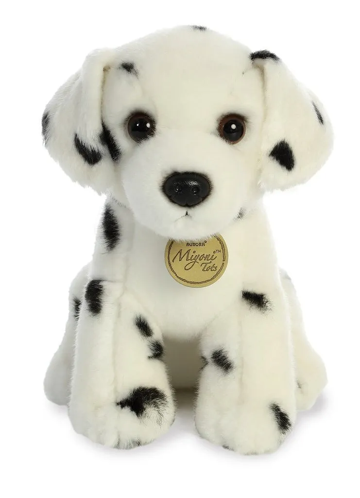 Dalmatian Pup