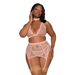 Dreamgirl Bra Garterbelt & G-String Pink Queen Size