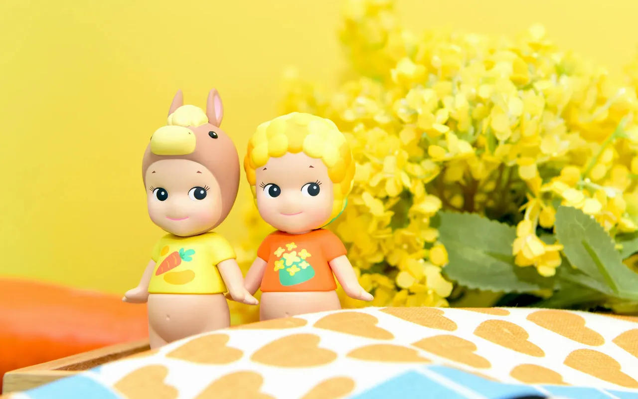 Hello! Jeju Island Limited Series