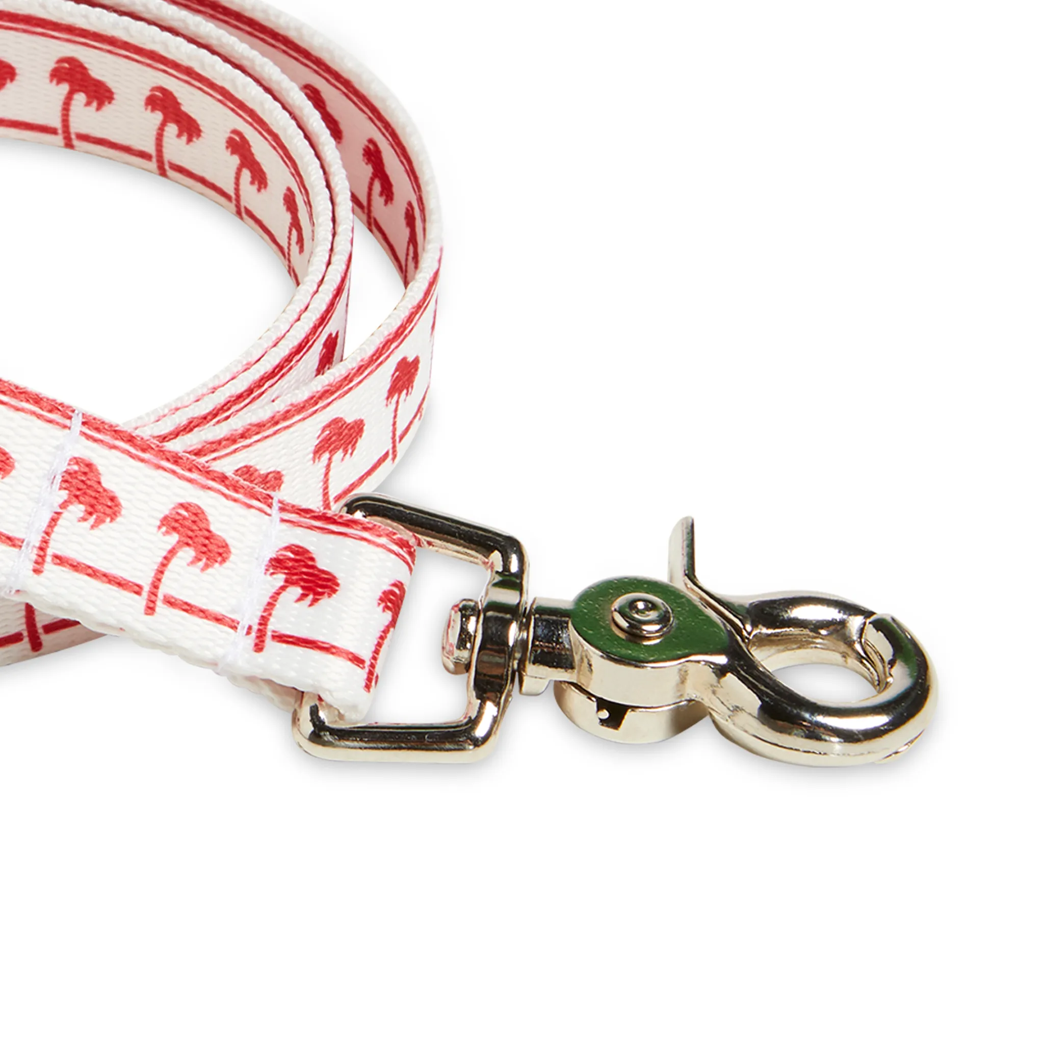 White Dog Leash